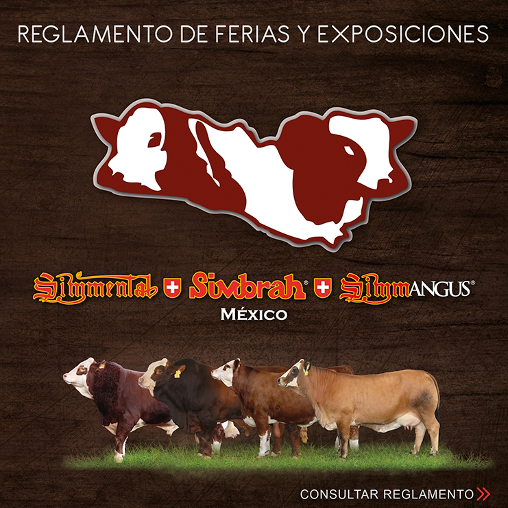 reglamento de ferias y exposiciones